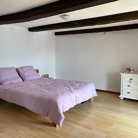 Vakantiehuis Casa Baffo By Interhome Brione sopra Minusio